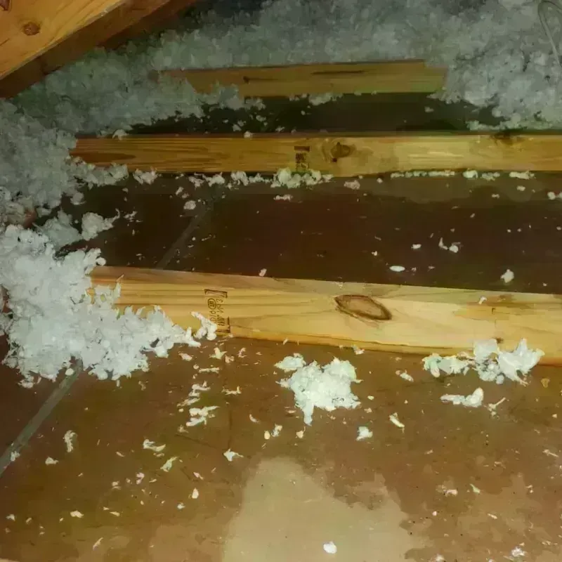 Attic Water Damage in Batesville, MS